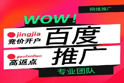 网络推广：竞价排名实战案例分析